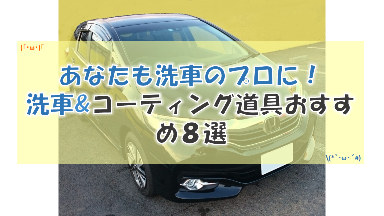 厳選 あなたも洗車のプロに 洗車 コーティング道具おすすめ８選 Diynetbank